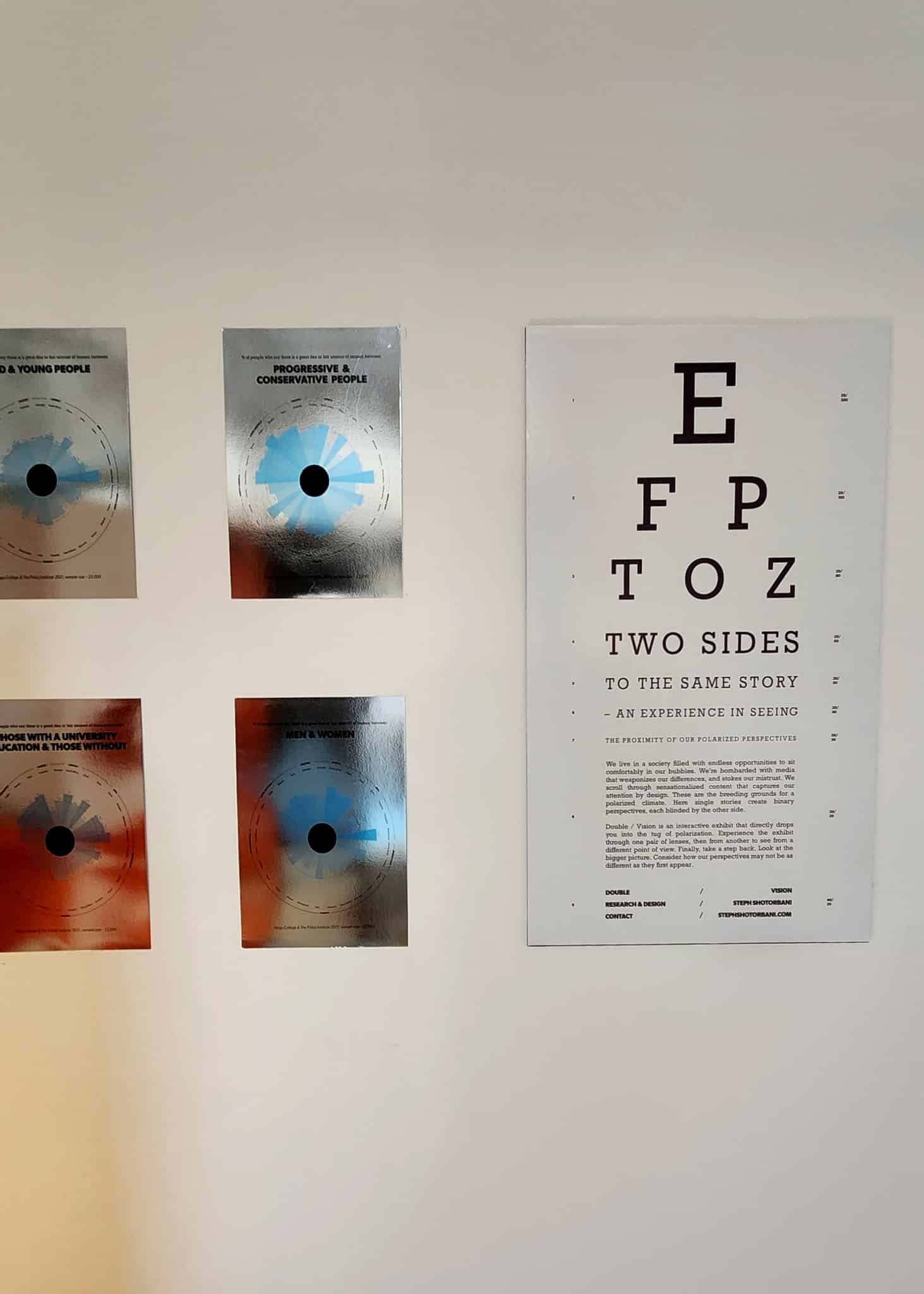 Double Vision - Description